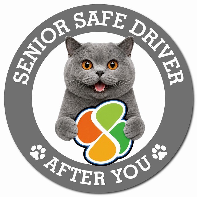 カーサイン 高齢者マーク SENIOR SAFE DRIVER ブリティッシュショートヘア マグネット 強力 直径13cm 肉球 日本製 車 ステッカー