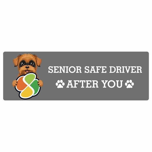 カーサイン 高齢者マーク SENIOR SAFE DRIVER ブリュッセルグリフォン ステッカー シール 長方形 15x5cm 肉球 日本製 車