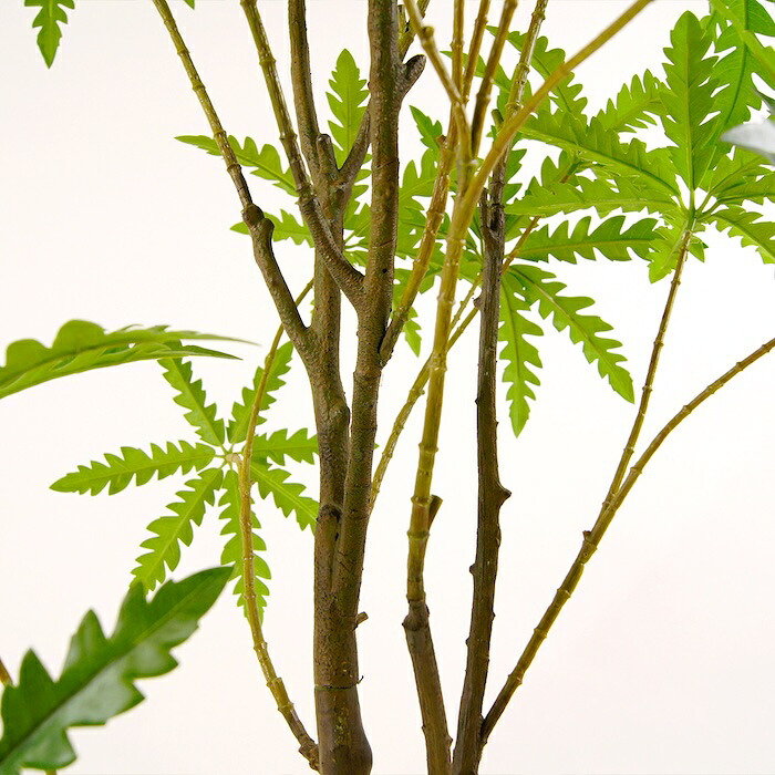 観葉植物 造花 アラレア BROWN 全高約155cm 大型 フェイクグリーン 本物そっくり おしゃれ インテリア 人工観葉植物 アーティフィシャルグリーン オフィス 店舗 ホテル 開店祝い 室内 ディジゴセカ フェイク