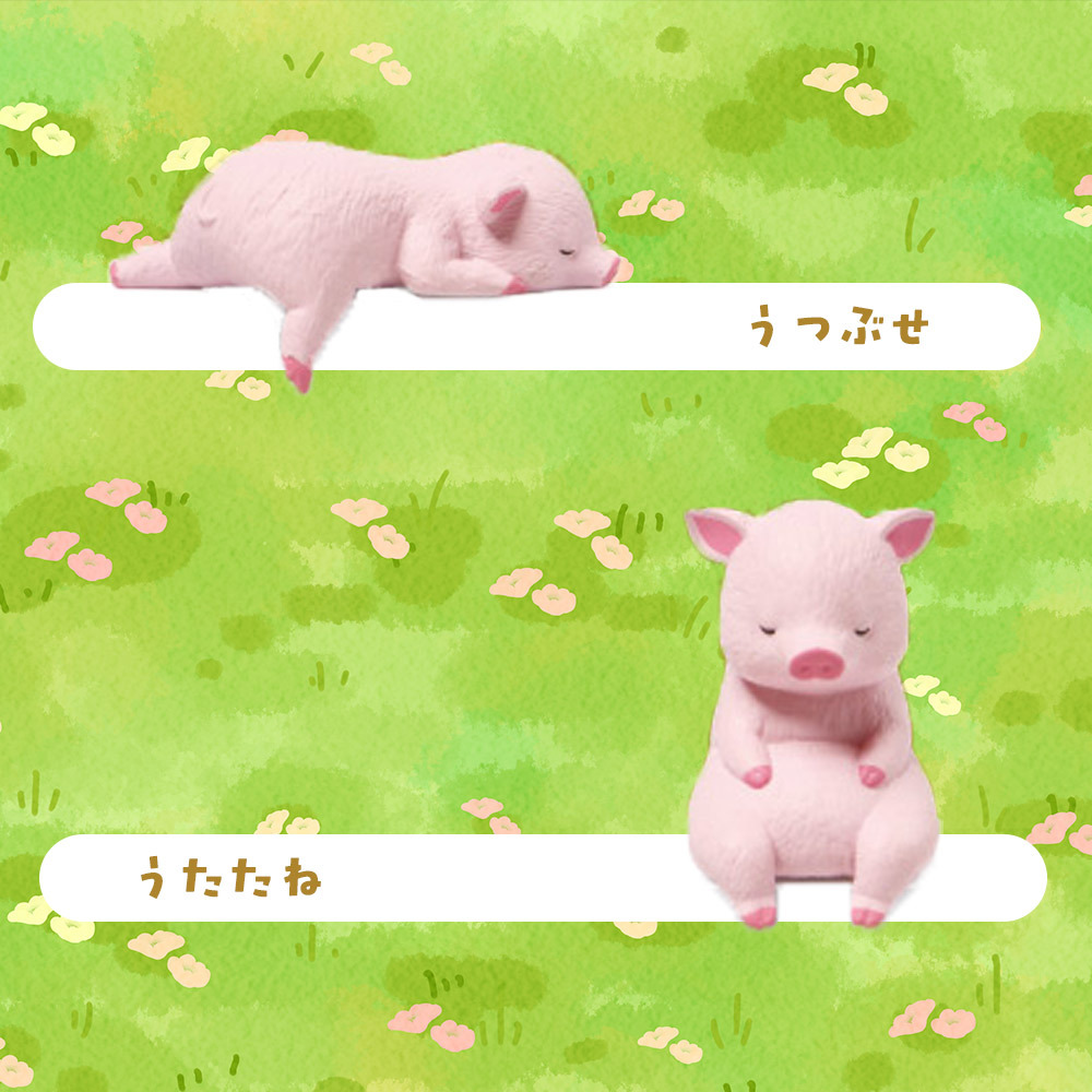 【5種類セット】 ガチャ ガチャガチャ コンプリート 中身 フィギュア おもちゃ かわいい [ ふちやすみ こぶた ] 動物 子ブタ 子豚 豚