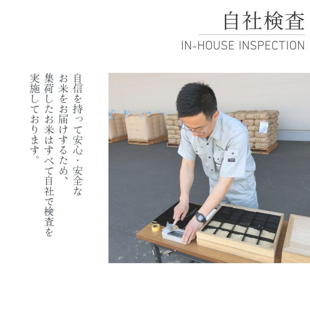 新米　令和8年産　新潟県産なつひめ　5kg