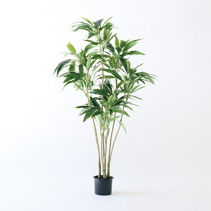 観葉植物 造花 ドラセナ ワーネッキー BROWN 全高約165cm 大型 株立ち フェイクグリーン 高級 本物そっくり リアル おしゃれ インテリア 人工観葉植物 アーティフィシャルグリーン モダン オフィス 店舗 ホテル 開店祝い 室内 リビング 玄関 風水 フェイク