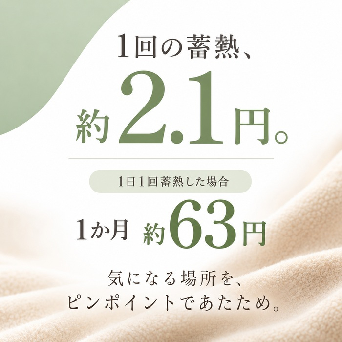 湯たんぽ 充電式 蓄熱式 かわいい 猫 アニマル ぬいぐるみ 繰り返し使える 節電 省エネ 長時間保温 防寒グッズ 電気湯たんぽ 電気あんか 急速充電 コードレス  ギフト プレゼント ひつじ うさぎ ハリネズミ フクロウ