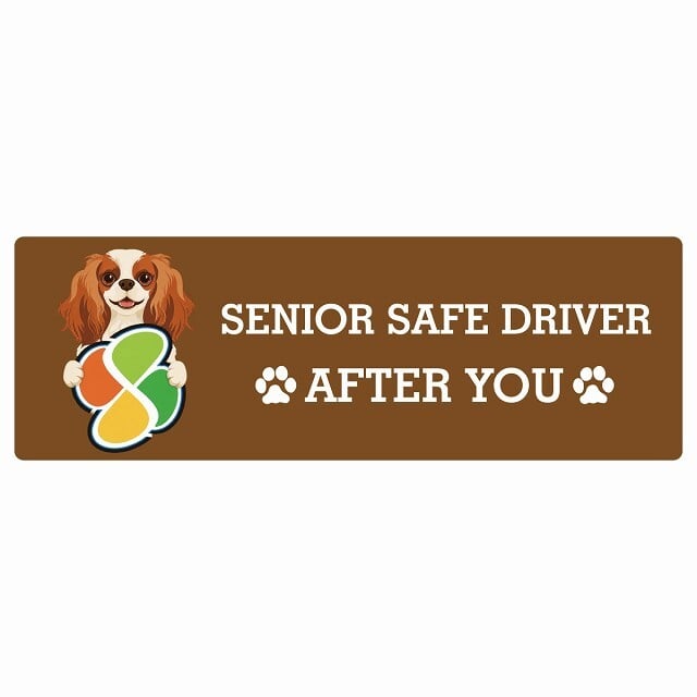 カーサイン 高齢者マーク SENIOR SAFE DRIVER キャバリアキングチャールズスパニエル ステッカー シール 長方形 20x6.7cm 肉球 日本製 車