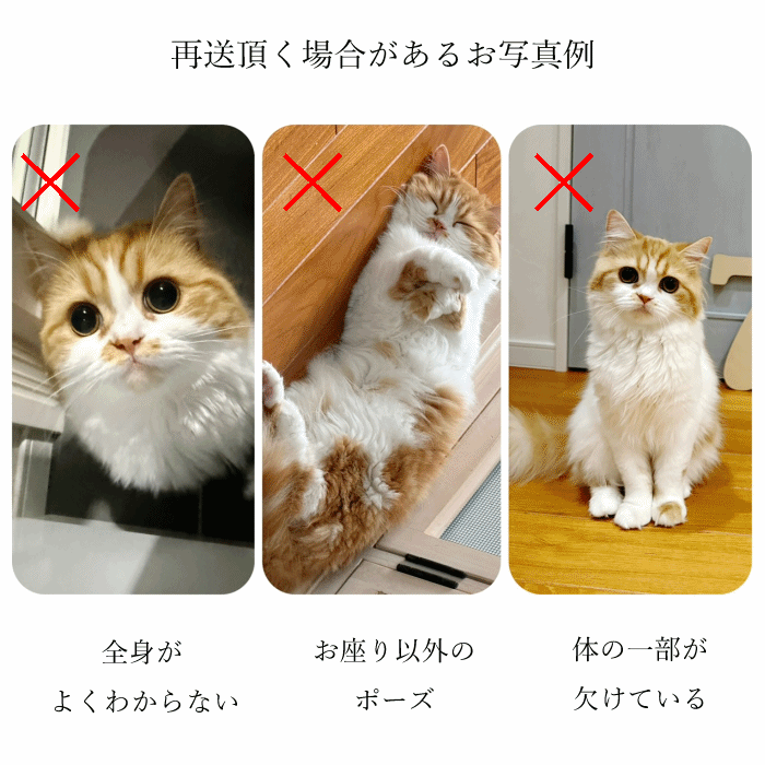 ３D彫刻 うちの子光るクリスタルキーホルダー　　犬 猫 ペット 立体 名入れ メモリアル オーダー ガラス ギフト プレゼント キレイ シンプル 透明 クリア 女性 男性