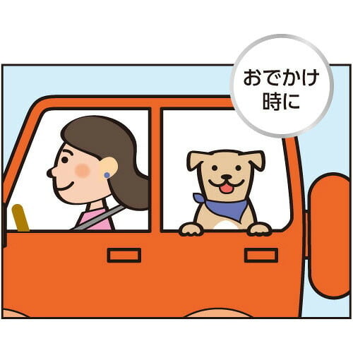 キンペックス KINPEX ふきとりワン ペットボディタオル