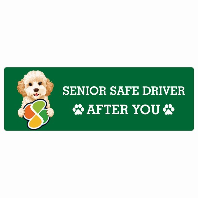 カーサイン 高齢者マーク SENIOR SAFE DRIVER ゴールデンドゥードル ステッカー シール 長方形 20x6.7cm 肉球 日本製 車