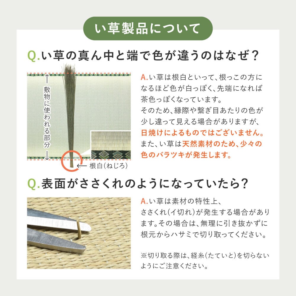 い草カーペット 清澄 せいちょう 江戸間 1畳 2畳 3畳 4.5畳 6畳 8畳 い草ラグ 天然い草100％ 掛川織 市松模様 和モダン 花ござ 上敷き 畳保護 四方縁 抗カビ 消臭 ブルー 夏用 涼感 和室 洋室 折りたたみ 調湿 さらさら 和風