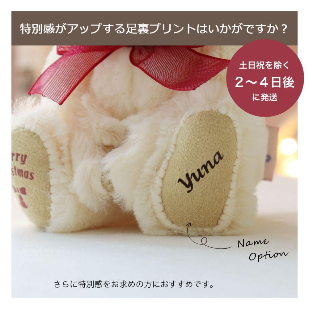 クリスマスプレゼント 彼女 女性 《X'mas限定モデル》【ふわふわベア キーホルダー 】 ネックレス マスコット 女の子 おしゃれ アクセサリー リボン シルバー キーチェーン くま 可愛い 名入れ 娘 孫 友達 テディベア 名前 シンプル 10代 20代 サンタ 妻 ぬいぐるみ 限定 【クリスマス限定 ギフトボックス入り】 2026クリスマスネックレスギフトFUU 8031001