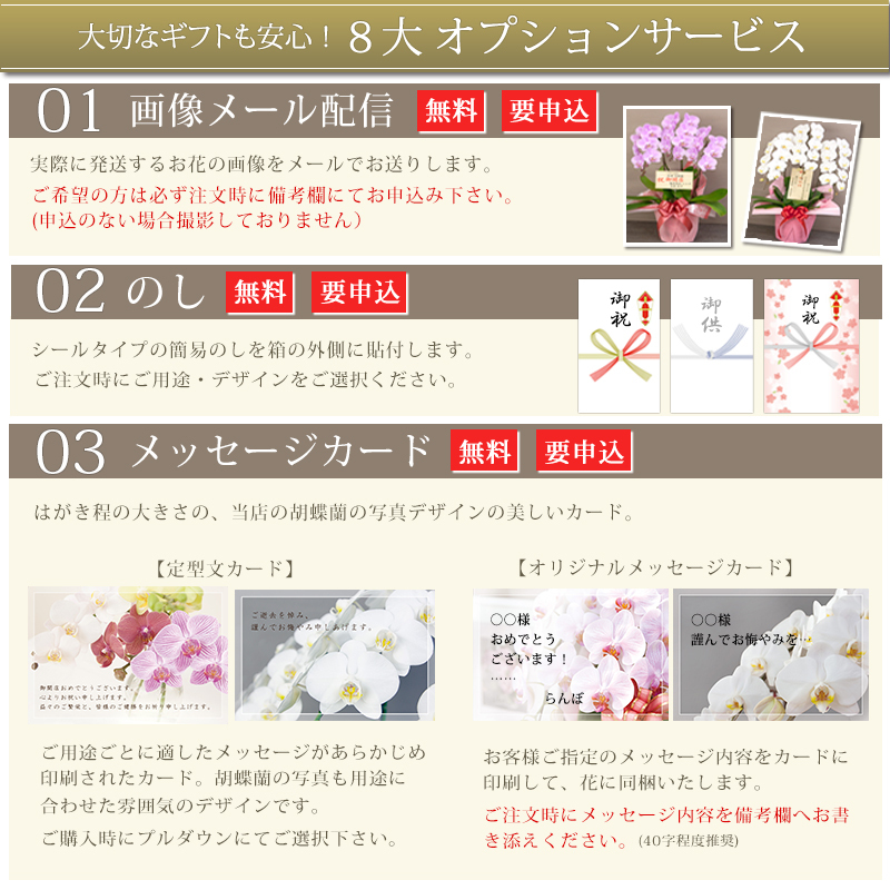 胡蝶蘭 大輪 ３本立ち 蕾含む36輪以上 送料無料 ヤマト [r-tai0009-f] 　開店祝い 開業 誕生日 長寿 結婚記念日 金婚式 お供え花 株主総会 選挙 当選 祈願 仏花 お悔み花 開院 開業 移転 ギフト 贈り物 還暦 古希 喜寿 傘寿 米寿 卒寿 白寿 百寿 御供 受賞 受章 退職 就任 栄転 昇進 昇給 昇格 新築 竣工 落成 新装 周年記念 式典 発表会 集会 内祝 年忌 法要