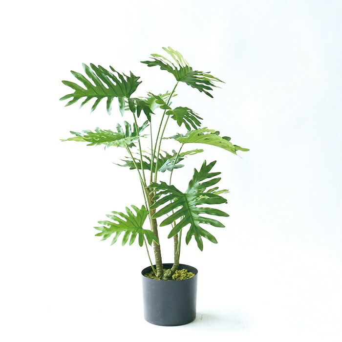 観葉植物 造花 セローム BROWN 全高約70cm 卓上・小型 フェイクグリーン 本物そっくり おしゃれ インテリア 人工観葉植物 アーティフィシャルグリーン オフィス 店舗 ホテル 開店祝い 室内 ミニ フィロデンドロン フェイク