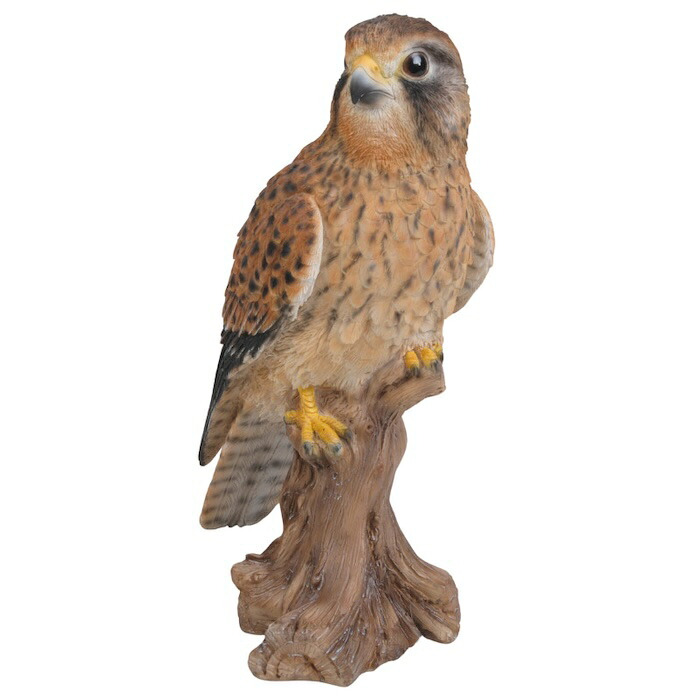 置物 鳥 チョウゲンボウ 高さ21.5cm woobia ウービア 野鳥 リアル おしゃれ 玄関 インテリア オブジェ ガーデン 北欧 ナチュラル 猛禽 動物 アニマル 癒し 鳥好き 出窓 棚 玄関飾り プレゼント ギフト バードウォッチング