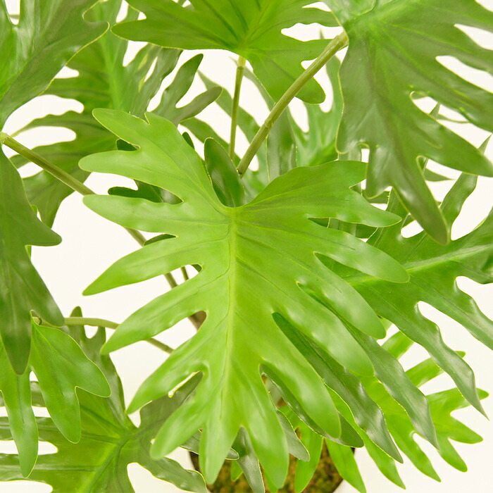 観葉植物 造花 セローム BROWN 全高約70cm 卓上・小型 フェイクグリーン 本物そっくり おしゃれ インテリア 人工観葉植物 アーティフィシャルグリーン オフィス 店舗 ホテル 開店祝い 室内 ミニ フィロデンドロン フェイク