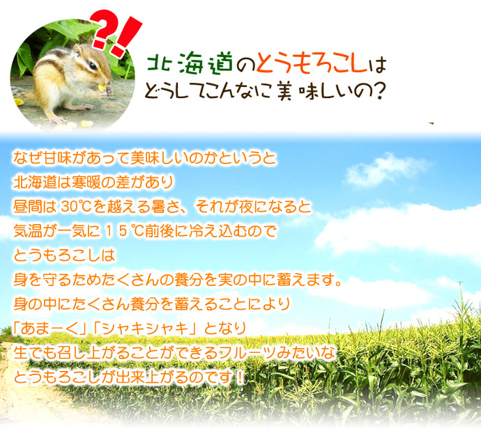 イエロースイートコーン 北海道 とうもろこし 8本入 送料無料 ※沖縄は送料別途加算