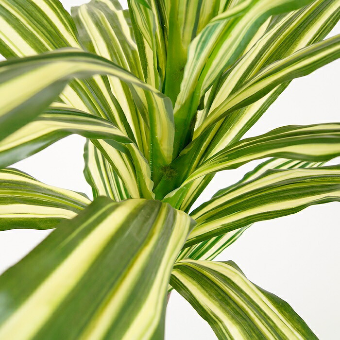 観葉植物 造花 ドラセナ ワーネッキー BROWN 全高約150cm 大型 フェイクグリーン 本物そっくり おしゃれ インテリア 人工観葉植物 アーティフィシャルグリーン オフィス 店舗 ホテル 開店祝い 室内 幸福の木 フェイク