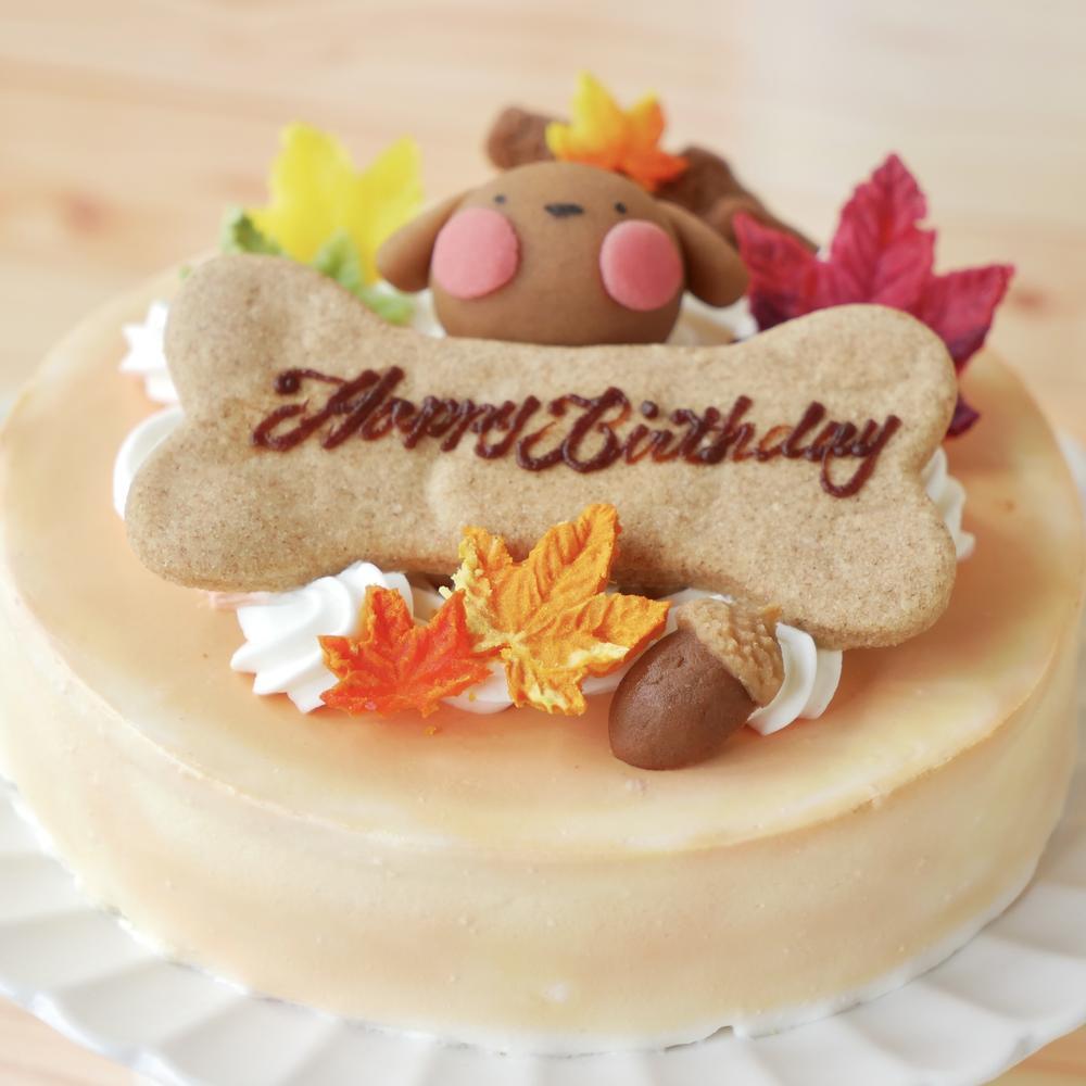 犬用ケーキ 誕生日 ちぃさい秋みぃ～つけた紅葉いちごショートケーキ レギュラーサイズ 無添加 食いつき 人気 おすすめ 手づくりごはん 小型犬 犬 小さいサイズ バースデー ケーキ フードケーキ ごはん プレゼント ギフト 贈り物 お誕生日 お迎え記念日 快気祝い ご贈答用 結婚祝い パーティー お茶会 犬友 猫友 お祝い お誕生日 ワンちゃん ペットフード ドッグフード