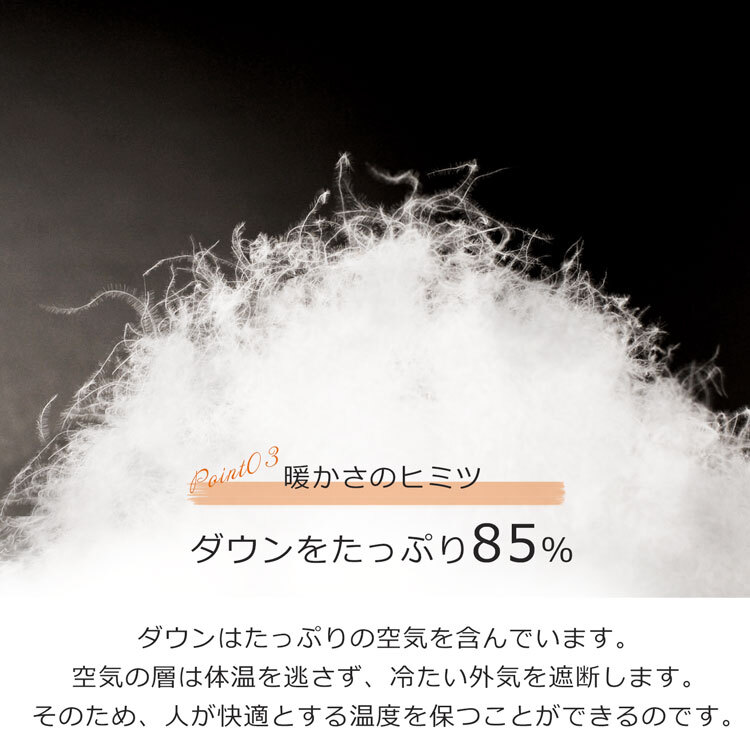 ダウンジャケット レディース ショート ライトダウン 軽量 ノーカラー 丸襟 レディースダウン アウター ダウン85% ノーカラージャケット インナーダウン 秋 冬 春 軽い 暖かい ギフト プレゼント 5F (08000246r)