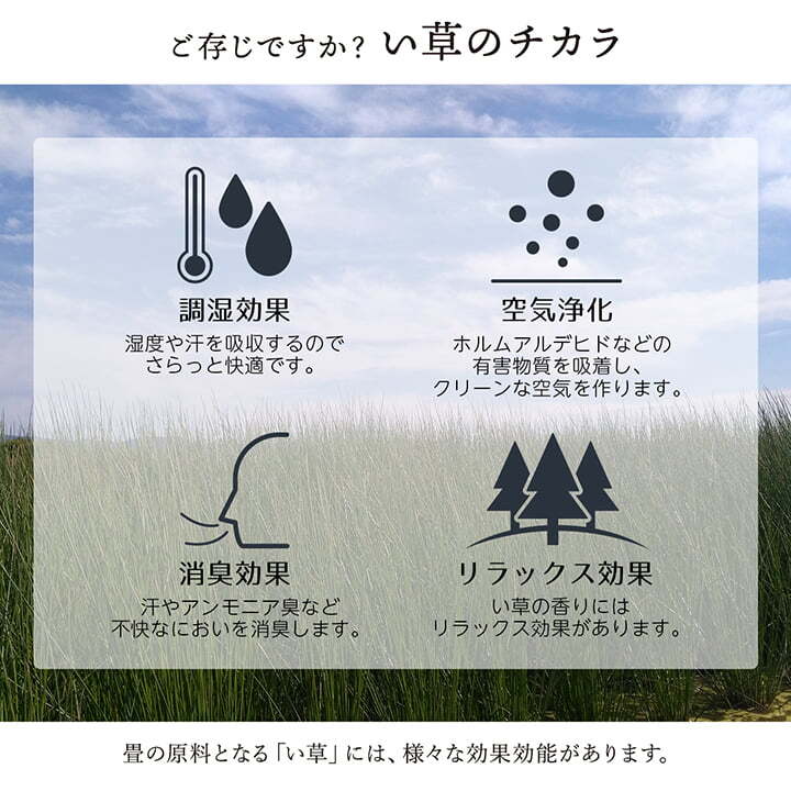 敷物 花ござ 国産 純国産 日本製 い草 掛川織 モダン 抗菌防臭 自然素材 江戸間3畳 約174×261cm