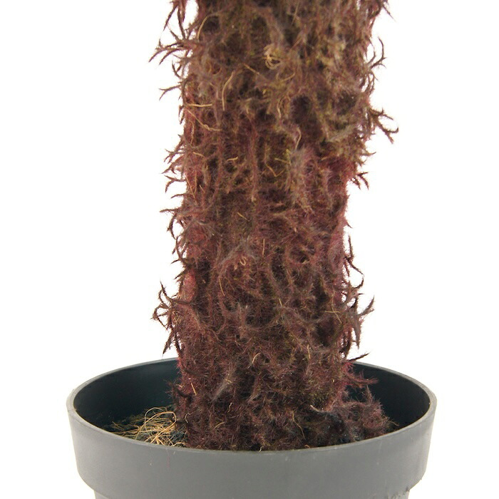 観葉植物 造花 ディクソニア BROWN 全高約183cm 大型 フェイクグリーン 高級 本物そっくり リアル おしゃれ 珍しい インテリア 人工観葉植物 アーティフィシャルグリーン オフィス 店舗 ホテル 開店祝い 室内 リビング 玄関 風水 木性シダ
