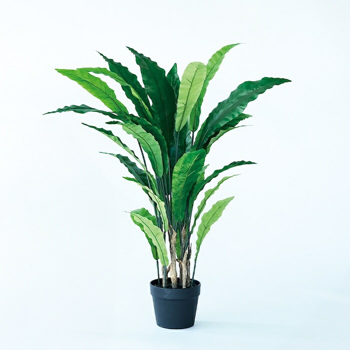 観葉植物 造花 アスプレニウム BROWN 全高約90cm 中型 フェイクグリーン 本物そっくり おしゃれ インテリア 人工観葉植物 アーティフィシャルグリーン オフィス 店舗 ホテル 開店祝い 室内 タニワタリ シダ フェイク