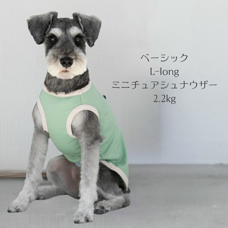 遠赤外線 犬服 温活 血行 シニア犬 日本製 LaLa Relax ララリラックス ベーシック めぐりメンテナンス 小型犬 中型犬 大型犬 チワワ プードル ダックス 柴犬 介護 部屋着 オールシーズン トンボ 伸縮 綿100％