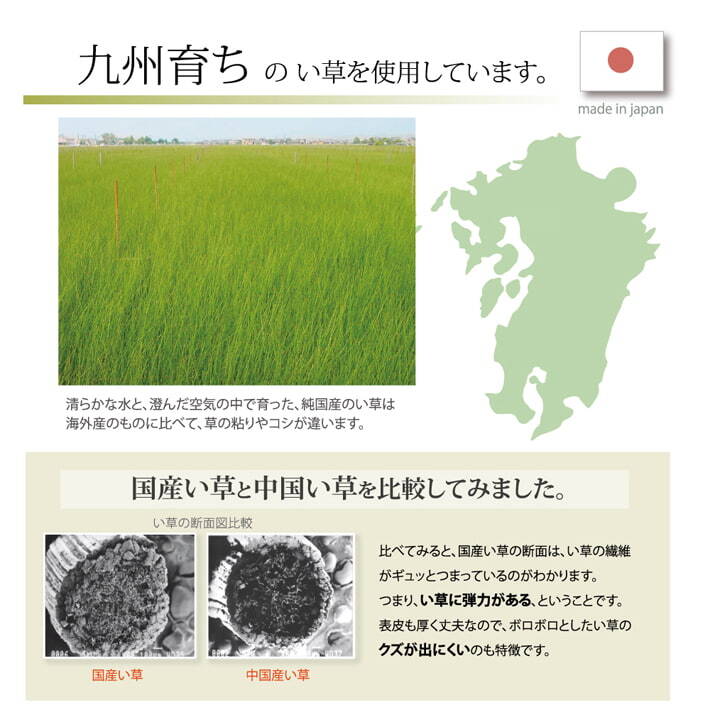 い草 シーツ い草シーツ ベビー キッズ ジュニア 寝ござ 『さわやか ネゴザ』 約70×120cm お子様にも安心 国産い草シーツ さわやかネゴザ 抗菌 防臭 綿 ラグ マット インテリア 敷物 綿100% やわらか 肌触り 耐久性 吸湿 弾力 ブルー 入学祝い