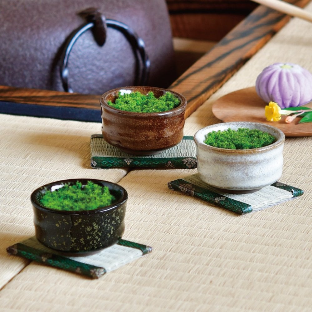 抹茶碗 苔栽培キット スナゴケ 植物 陶器 コケ グリーン スターターセット オブジェ 置物 おしゃれ インテリア 雑貨 ギフト プレゼント 男性 女性 父の日 母の日 敬老の日 誕生日 ラッピング対応 無料ラッピング