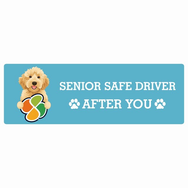 カーサイン 高齢者マーク SENIOR SAFE DRIVER オーストラリアンラブラドゥードル ステッカー シール 長方形 20x6.7cm 肉球 日本製 車