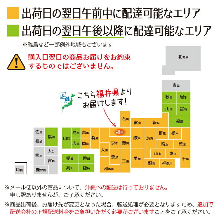 若狭カレイ 一塩干し ミニサイズ 3尾 3セット 6セット カレイ 一夜干し 保存料不使用 干物 天神講 天神様