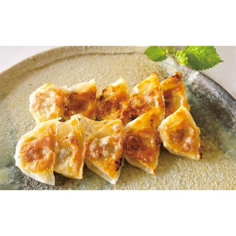 お歳暮・冬ギフト 牛肉商「徳志満」 近江牛ひとくち餃子 (AJI-TG-3) ※送料無料(北海道・沖縄・離島への配送不可)
