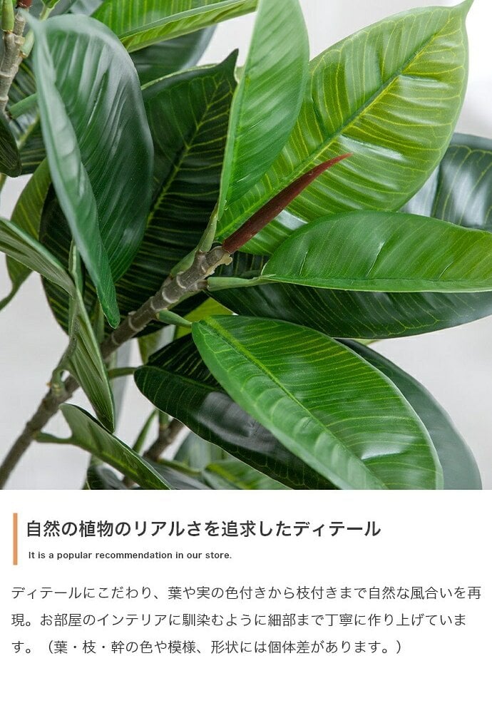 照明 ライト パキラ 観葉植物 人工 フェイクグリーン 室内 リビング オフィス 一人暮らし 緑 インテリア 光触媒 空気清浄 消臭 抗菌 防汚 ホルムアルデヒド分解 おしゃれ 高さ150cm 造花 植木 鉢植え 新築祝い 開店