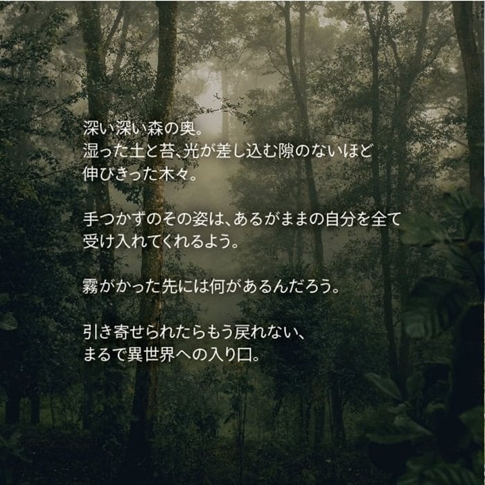 森の香りのピローミスト《DEEP FOREST》｜天然精油・森林浴