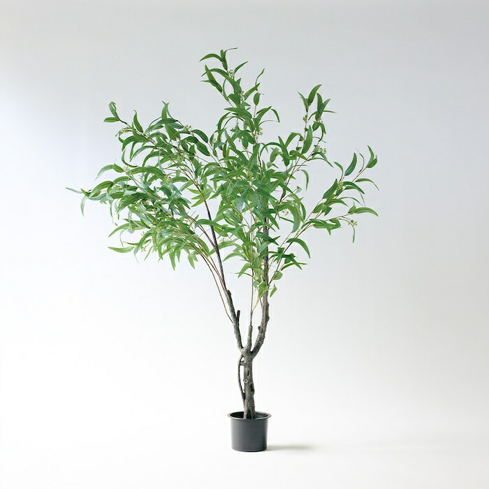 観葉植物 造花 ユーカリ・ニコリー BROWN 全高約180cm 大型 フェイクグリーン 高級 本物そっくり リアル おしゃれ ナチュラル インテリア 人工観葉植物 アーティフィシャルグリーン オフィス 店舗 ホテル カフェ 開店祝い 室内 リビング 玄関 風水 ユーカリの木