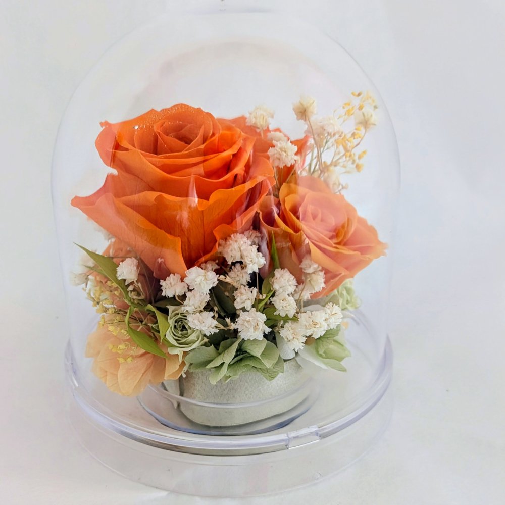 プリザーブドフラワー／オレンジの大輪の薔薇と小花のクリアドームギフト