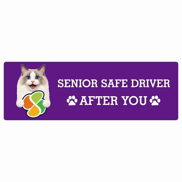 カーサイン 高齢者マーク SENIOR SAFE DRIVER ラグドール ステッカー シール 長方形 15x5cm 肉球 日本製 車