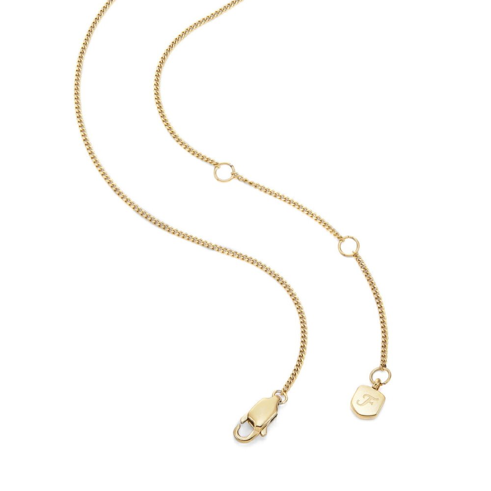 フォッシル FOSSIL Sutton アクセサリー ネックレス ペンダント かに座 レディース JF04841710