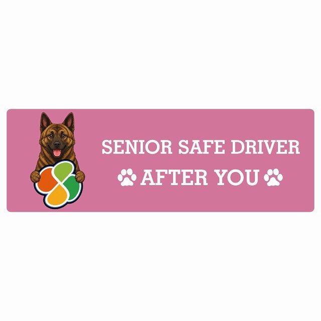 カーサイン 高齢者マーク SENIOR SAFE DRIVER 琉球犬 ステッカー シール 長方形 15x5cm 肉球 日本製 車