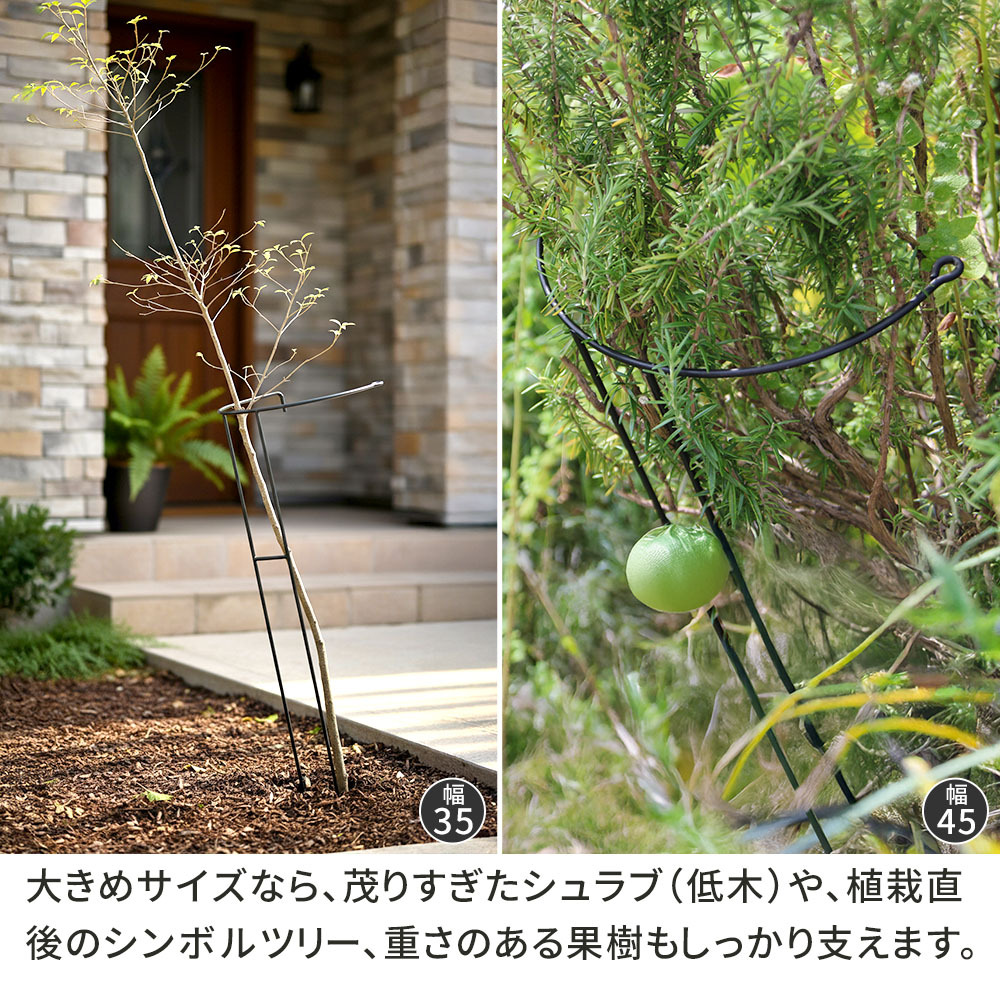 アイアン製植物サポーター 幅18 8本セット IF-N0050-8P奥行10 高さ50 ハーフリング 倒れ防止 広がり抑制 スチール 鉄製 支柱 園芸 植物サポート フラワーサポート 菜園 花壇
