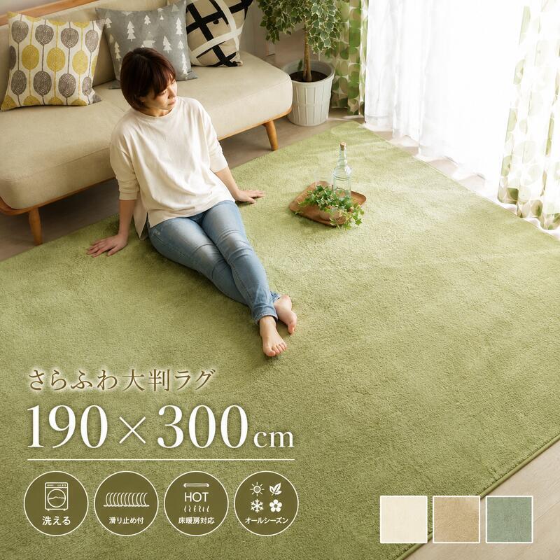 ラグ 190×300cm 4畳 大判 厚手 20mm 低反発 ラグマット 洗える 手洗い 撥水 カーペット 絨毯 滑り止め 床暖房 ホットカーペット対応 オールシーズン マイクロファイバー 低ホルムアルデヒド 子供 ペット おしゃれ 無地