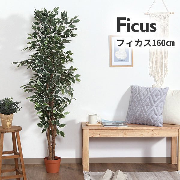 ガーデン エクステリア 観葉植物 ヤドリフカノキ ２１６ フェイクグリーン 植物 緑 グリーン 癒し 植木 インテリア ガーデニング おしゃれ カフェ リビング プランター ギフト プレゼント 贈り物 オフィス 会社 枯れない 簡単 手入れ 樹木 新生活