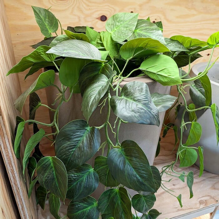 観葉植物 造花 ポトス BROWN 全高約80cm フェイクグリーン 高級 本物そっくり リアル おしゃれ 卓上 インテリア 人工観葉植物 アーティフィシャルグリーン 垂れ下がる つる オフィス 店舗 開店祝い 室内 リビング 玄関 トイレ 風水 フェイク