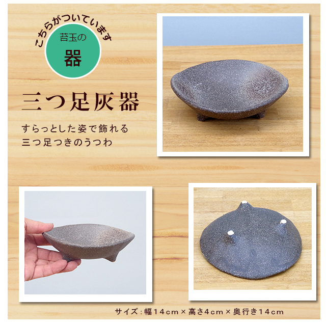 桜・・・そう聞くだけで心和む景色を貴方のもとへ【富士桜（湖上の舞）の苔玉・三つ足灰器セット】