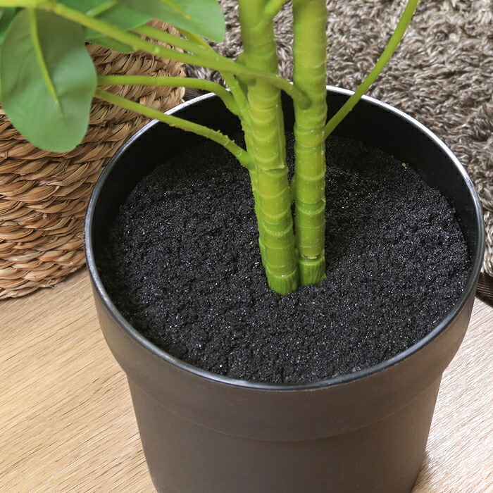 ガーデン エクステリア 観葉植物 ヤドリフカノキ ２１６ フェイクグリーン 植物 緑 グリーン 癒し 植木 インテリア ガーデニング おしゃれ カフェ リビング プランター ギフト プレゼント 贈り物 オフィス 会社 枯れない 簡単 手入れ 樹木 新生活