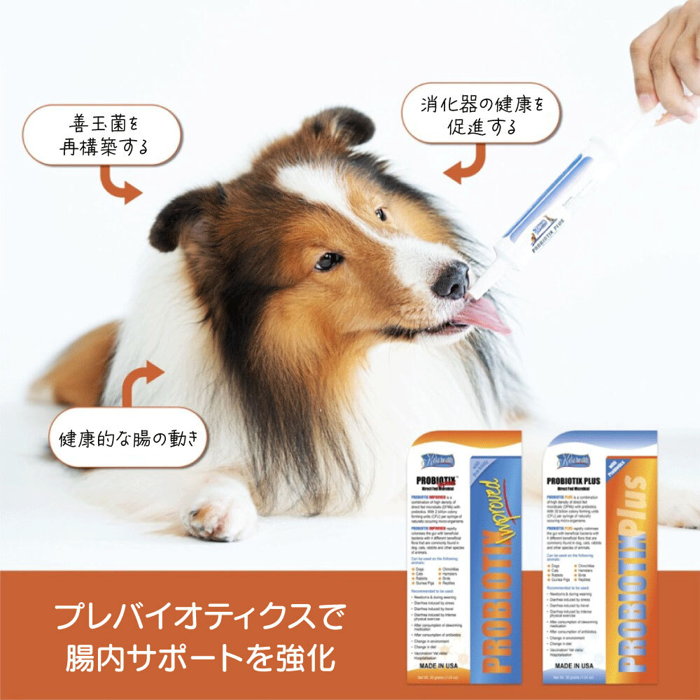 ファンタジーワールド カラヘルス サプリメント プロバイオティクス プラス 30g お腹