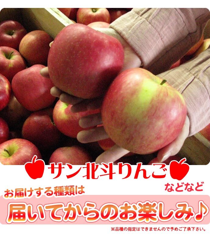 青森りんご 9kg 訳あり 送料無料 福袋 北海道産 青森産 リンゴ ※沖縄は送料別途加算 到着日指定不可