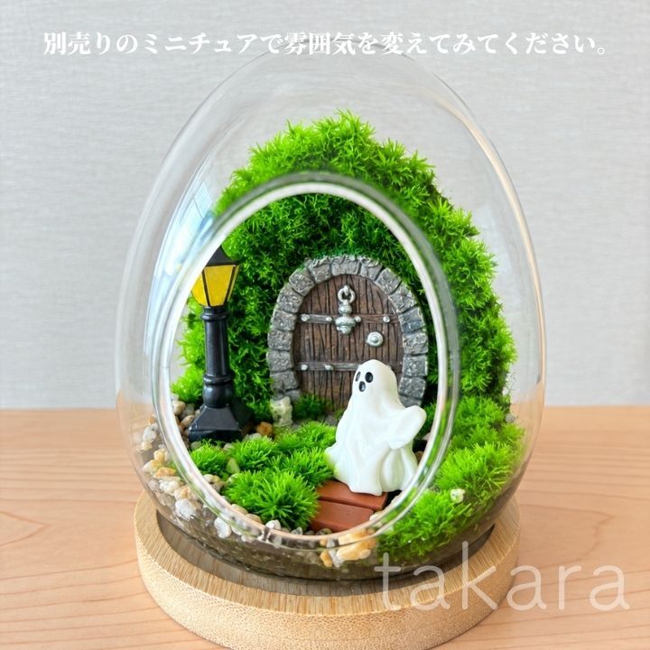 テラリウムキット 【ハロウィン】 コケテラリウム 贈り物 ガラスボウル コケインテリア ハロウィン ギフト 手作りキット 創作キット 苔インテリア 苔リウム コケリウム 作成キット お誕生日 おうち時間 敬老の日