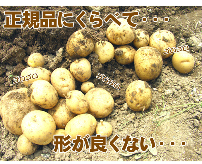 じゃがいも 訳あり北海道 じゃがいも 男爵いも S-Mサイズ 9.5-10kg前後 送料無料 ※沖縄は送料別途加算