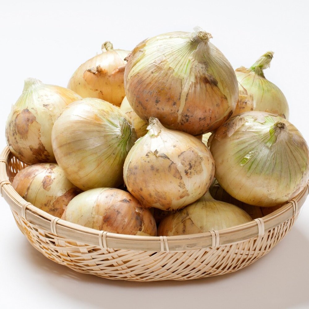 淡路島産 新玉ねぎ 2kg
