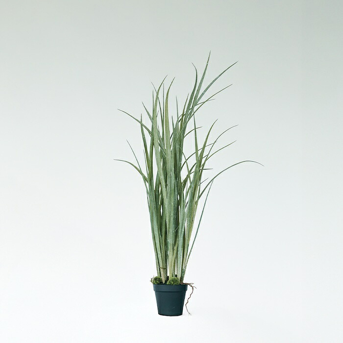 観葉植物 造花 グラス BROWN 全高約65cm 卓上・小型 フェイクグリーン 本物そっくり おしゃれ インテリア 人工観葉植物 アーティフィシャルグリーン オフィス 店舗 ホテル 開店祝い 室内 ミニ ナチュラル 草 フェイク