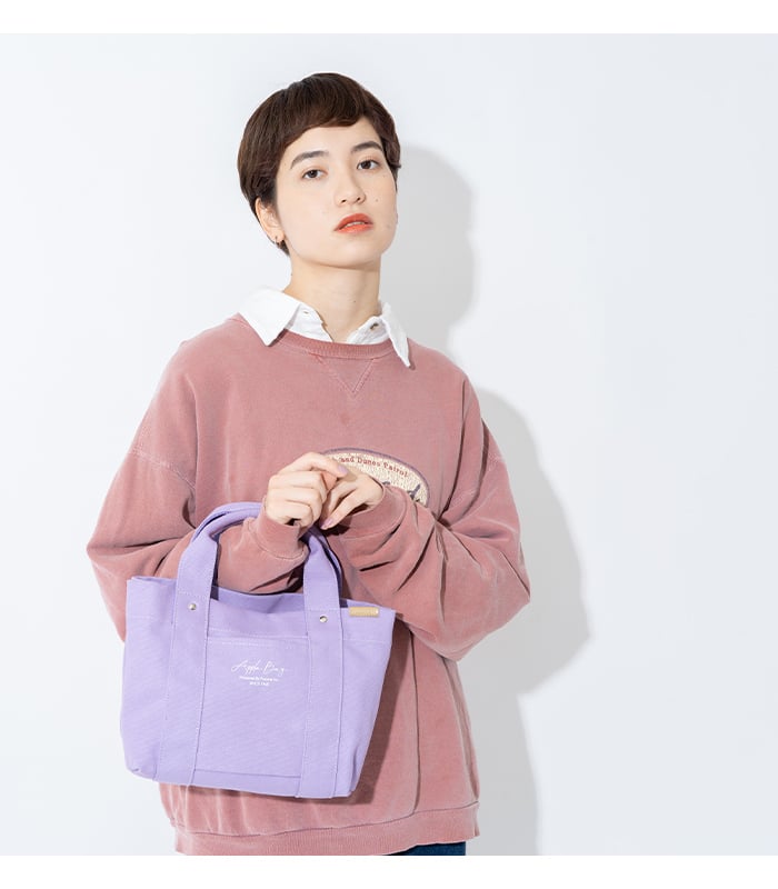 APPLEBAG アップルバッグ ミニトートバッグ レディース ミニバッグ ランチバッグ 3つ仕切り 帆布 キャンバス ママバッグ マザーズバッグ 整理整頓 通勤 通学 おしゃれ かわいい 母の日 ギフト ラッピング